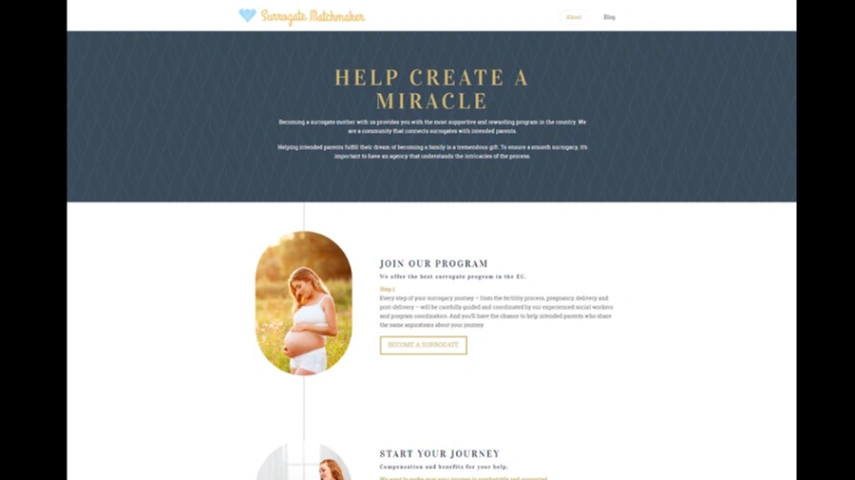 Project Website