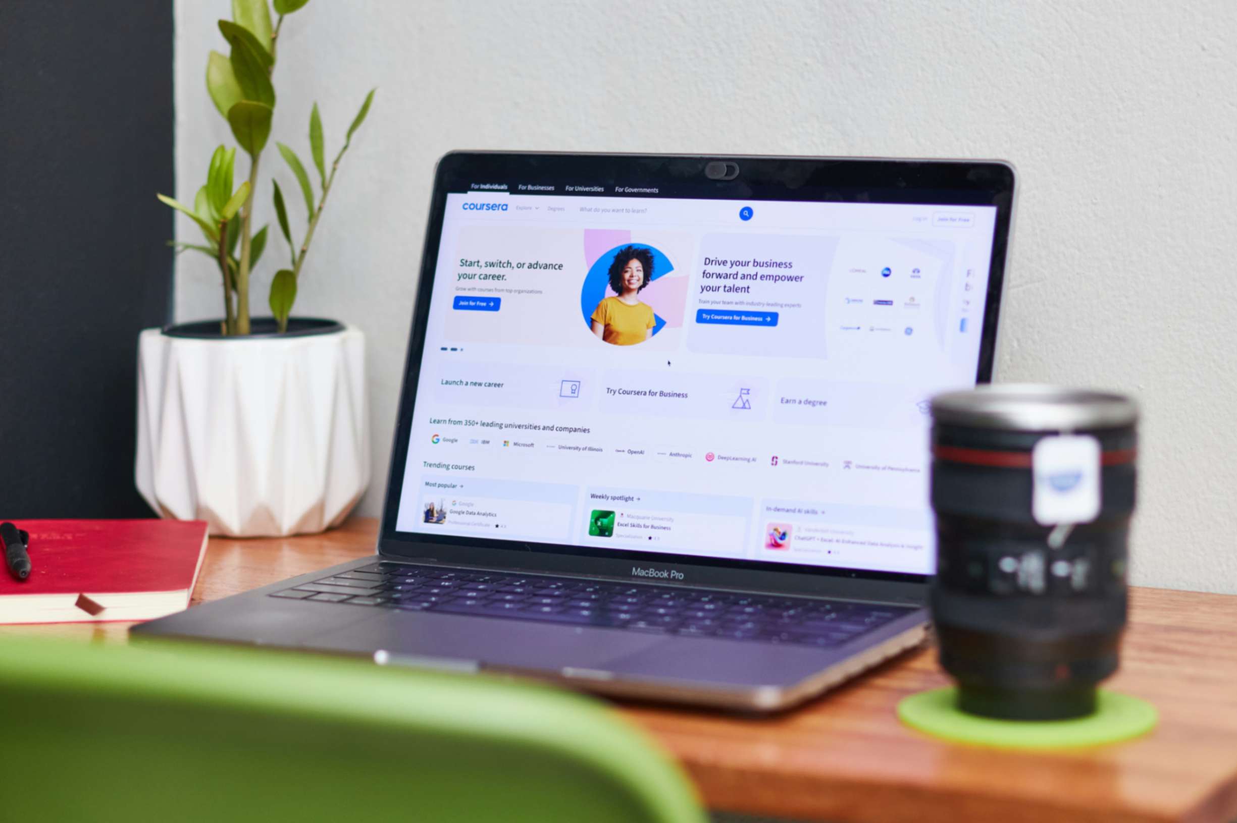 Web and App development